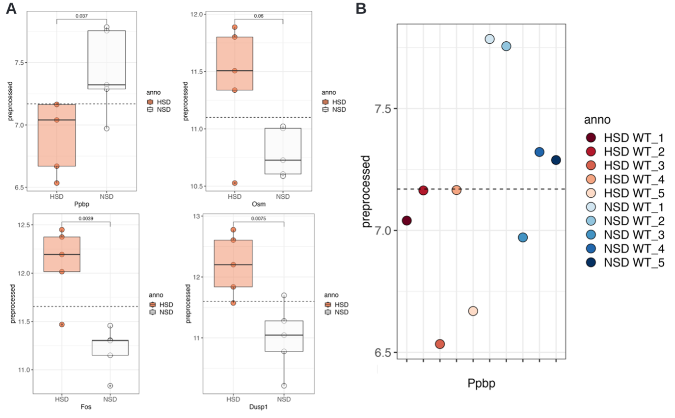 Figure D4 Single gene visualisations. A Boxplots with statistical testing for Ppbp, Osm, Fos, and Dusp1 expression grouped by treatment. B Dotplot of Ppbp expression shown per individual.