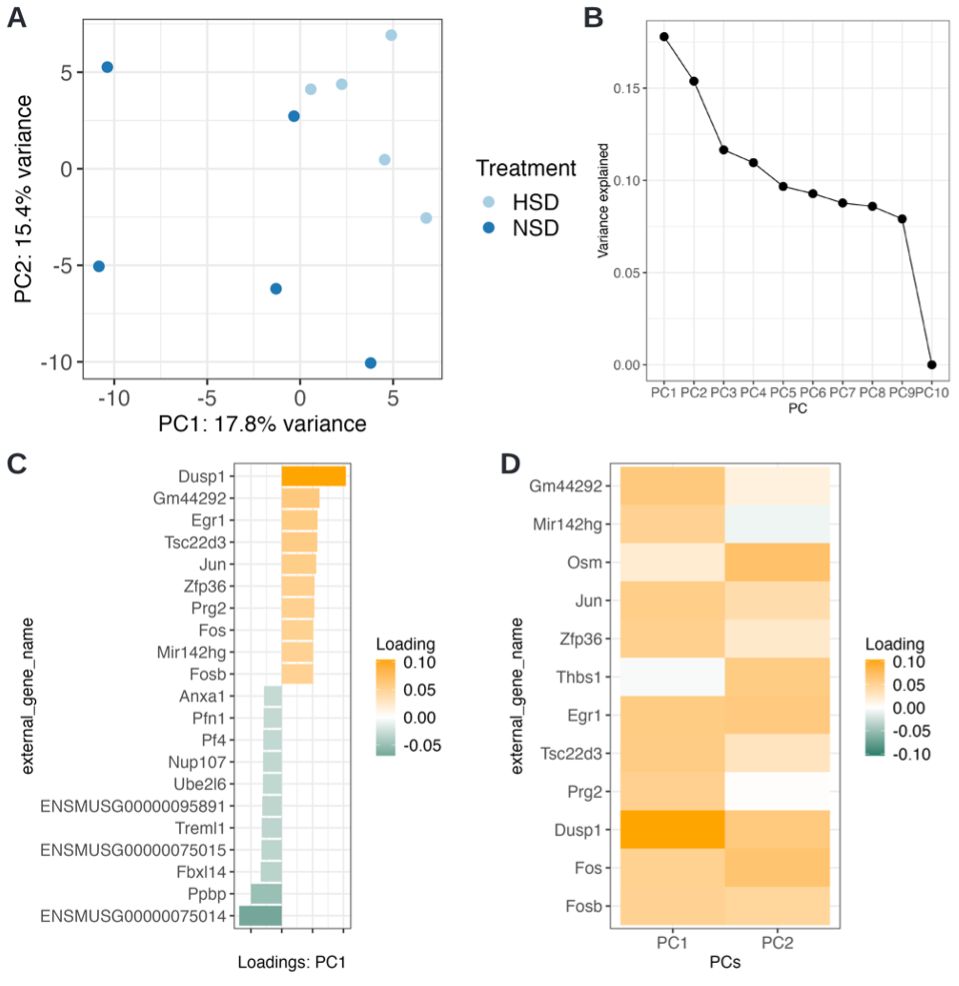 Figure D3 PCA tab results. A PCA plot showing 1st and 2nd principal components colored after treatment. B Scree-plot showing the variances explained per PC component. Within cOmicsArt one can hover over the points to retrieve the exact value. C The loadings plot shows the top 20 absolute loadings and associated genes. Note that NA’s in the initial annotation are replaced by the respective row ID. D The loadings matrix plot shows the loadings greater than 0.05 for the selected PCs 1 and 2.