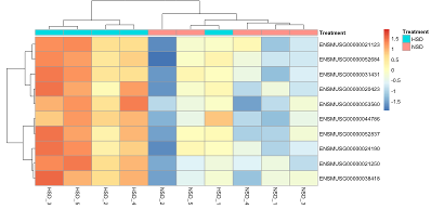 Figure D6 Heatmap of significant upregulated genes. The genes and the samples are ordered in correspondence to the applied hierarchical clustering.