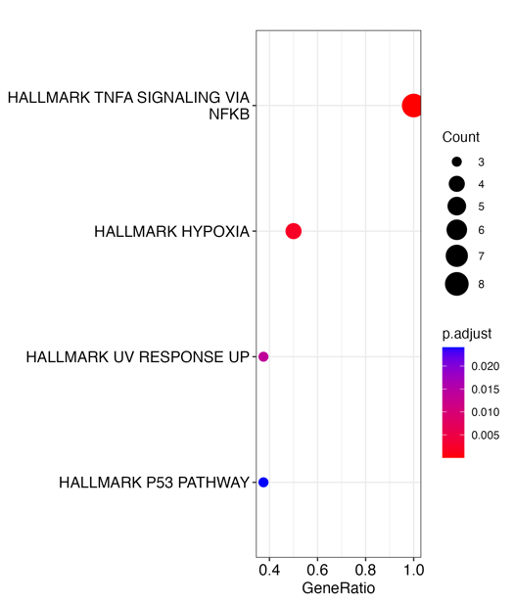 Figure D7 Hallmark enrichment result.